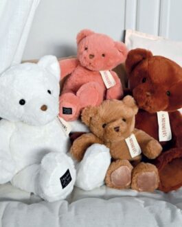 Ensemble Famille Ours